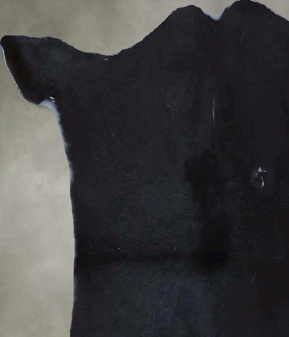 Calfhide Rug #B21378