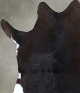 Calfhide Approx 2'x3' #B21380 by Hudson Hides