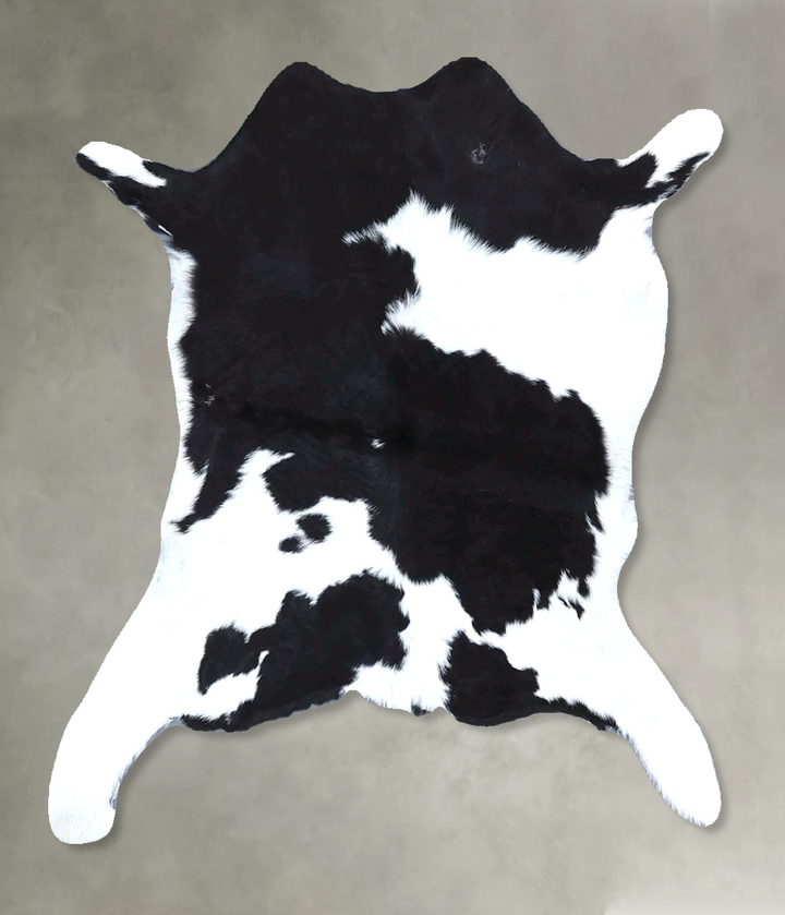 Calfhide Approx 2'x3' #B21382 by Hudson Hides
