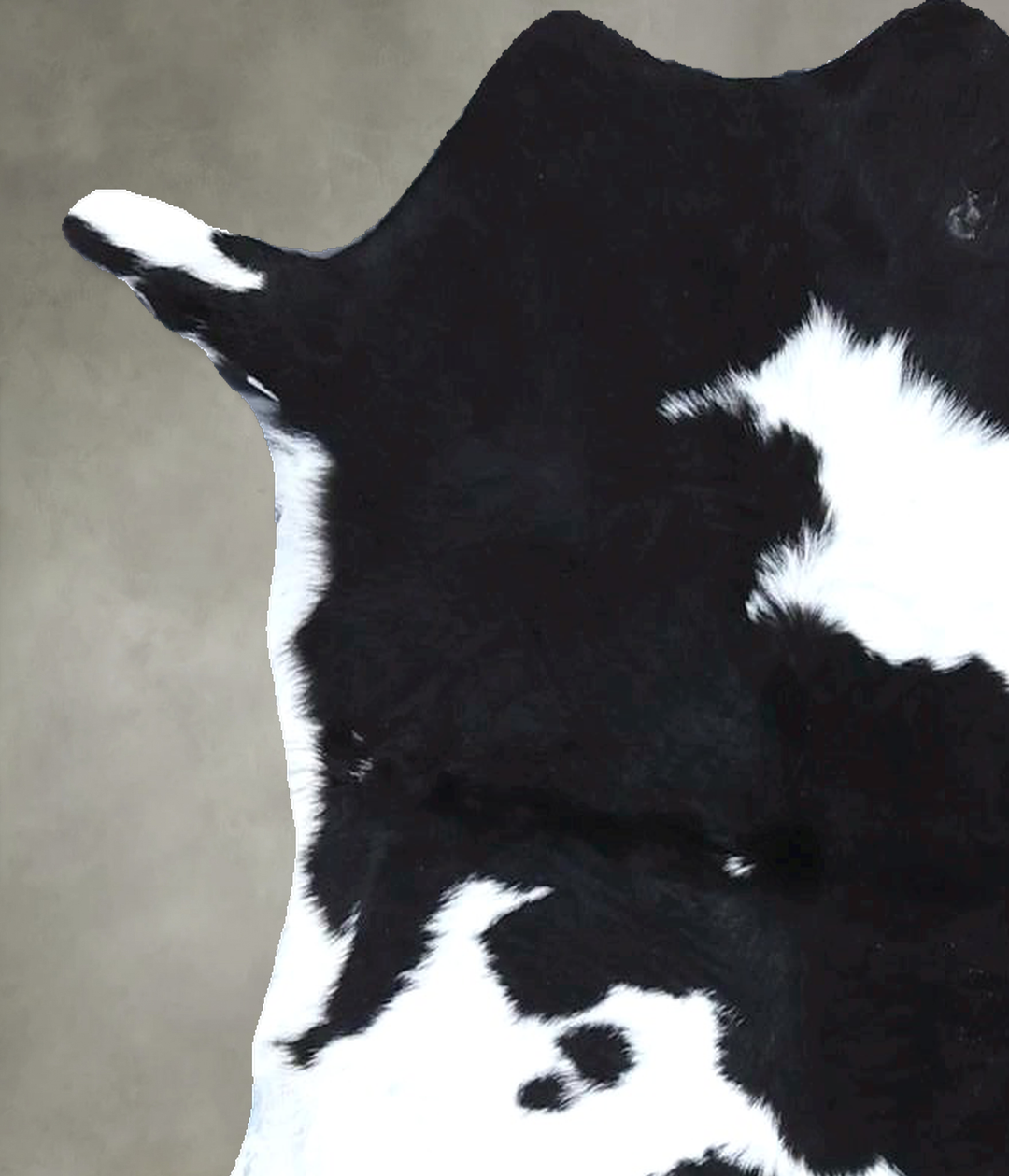 Calfhide Approx 2'x3' #B21382 by Hudson Hides