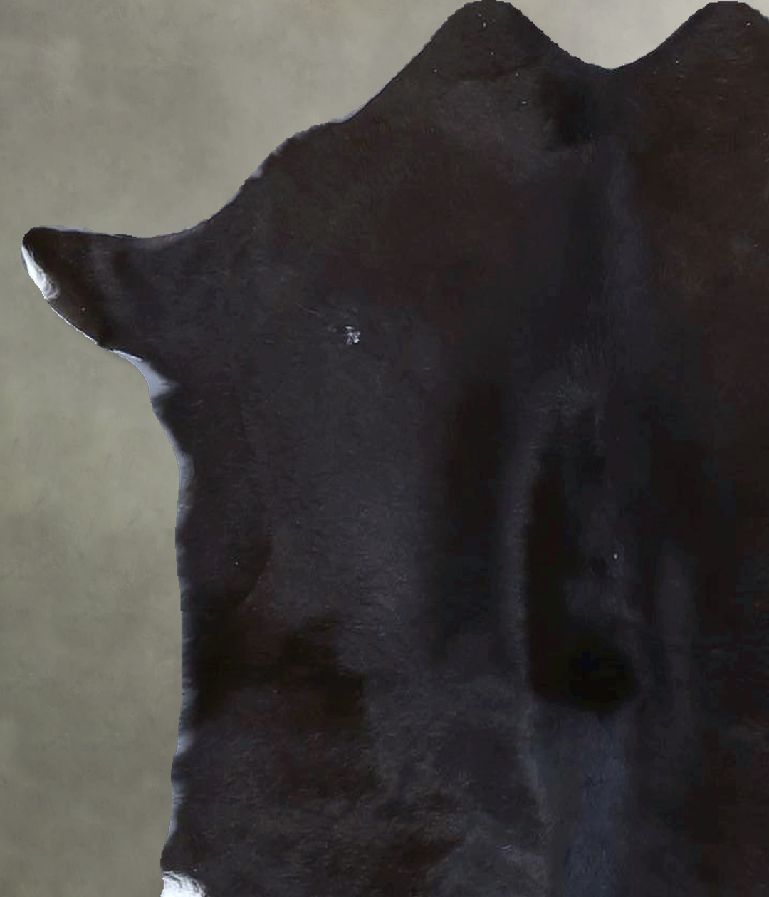 Calfhide Approx 2'x3' #B21387 by Hudson Hides