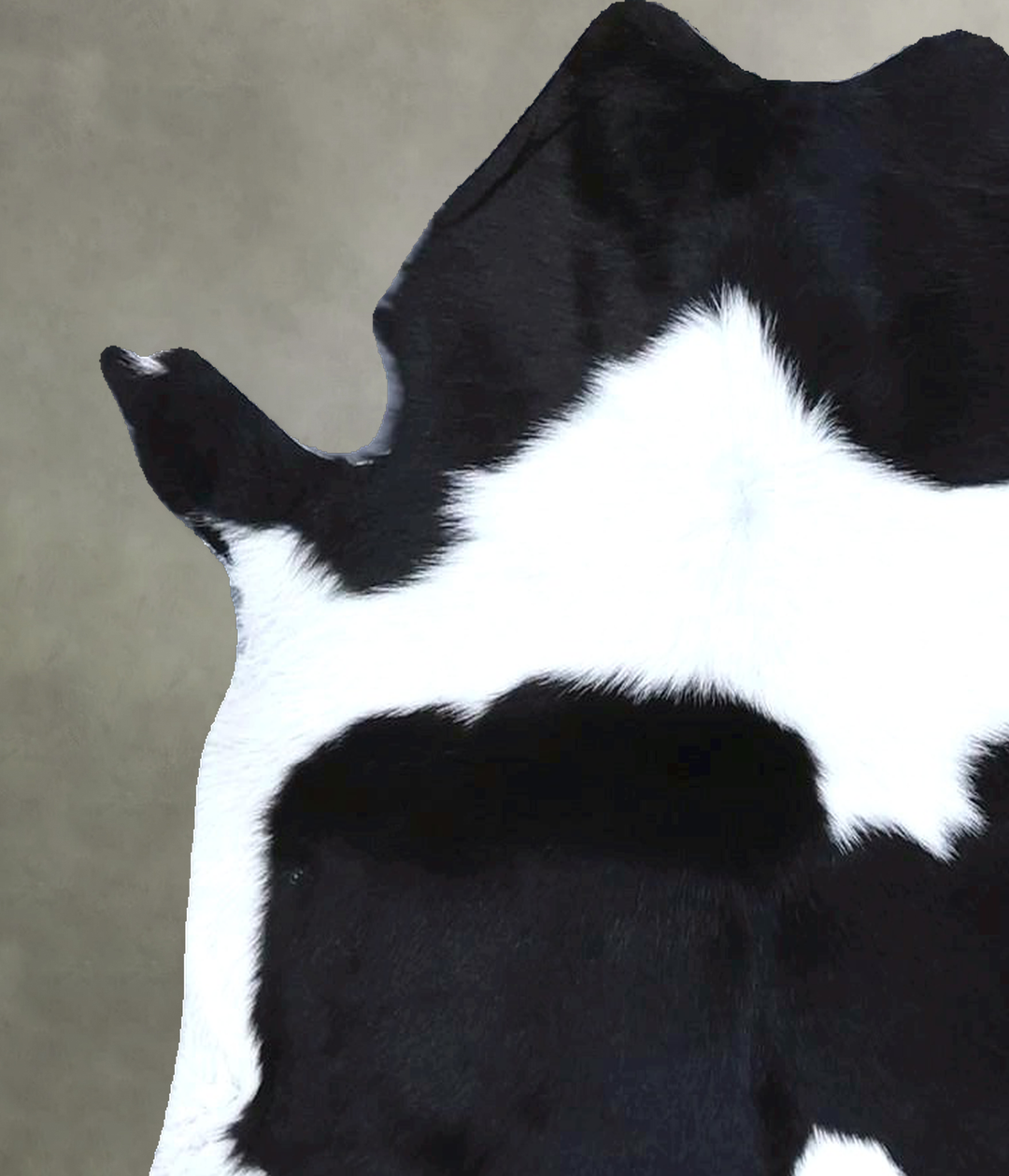 Calfhide Approx 2'x3' #B21392 by Hudson Hides