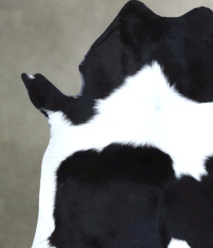 Calfhide Approx 2'x3' #B21392 by Hudson Hides