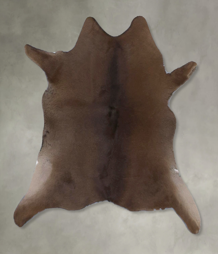 Calfhide Approx 2'x3' #B21394 by Hudson Hides