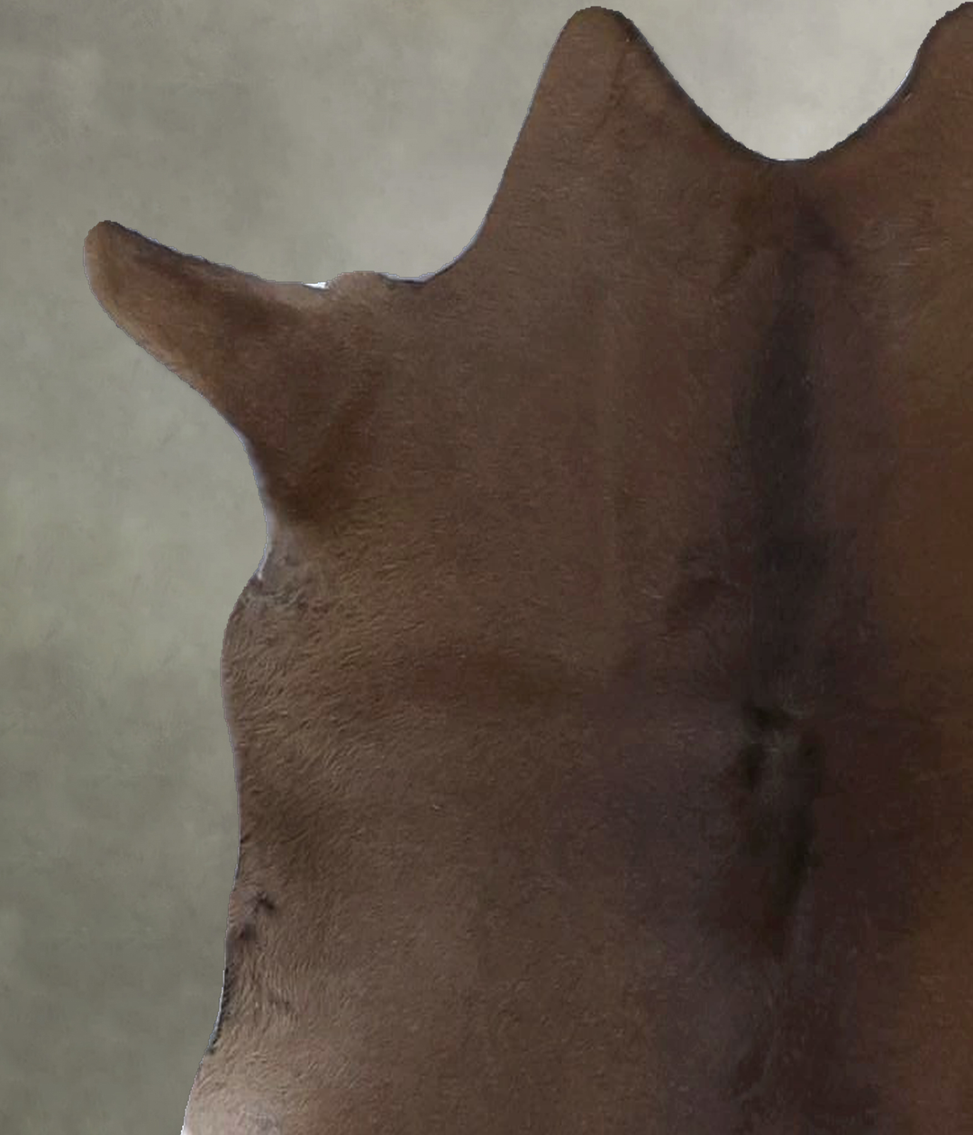 Calfhide Approx 2'x3' #B21394 by Hudson Hides