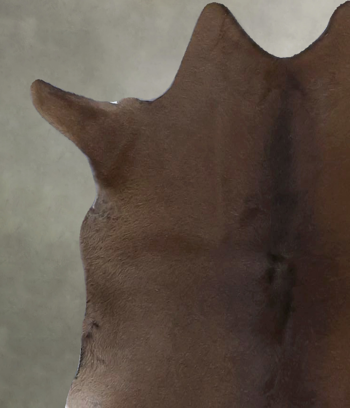 Calfhide Approx 2'x3' #B21394 by Hudson Hides