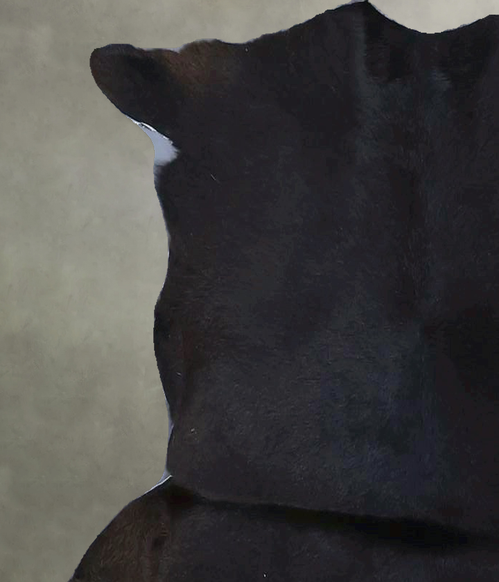 Calfhide Approx 2'x3' #B21396 by Hudson Hides