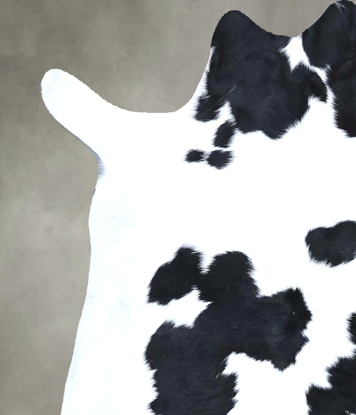 Calfhide Approx 2'x3' #B21400 by Hudson Hides
