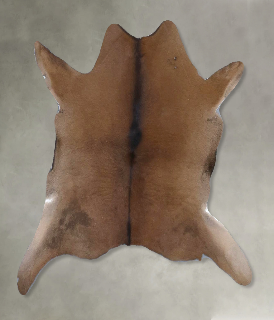 Calfhide Approx 2'x3' #B21403 by Hudson Hides