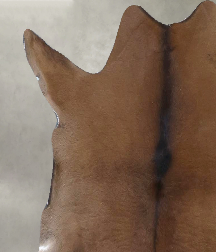 Calfhide Approx 2'x3' #B21403 by Hudson Hides