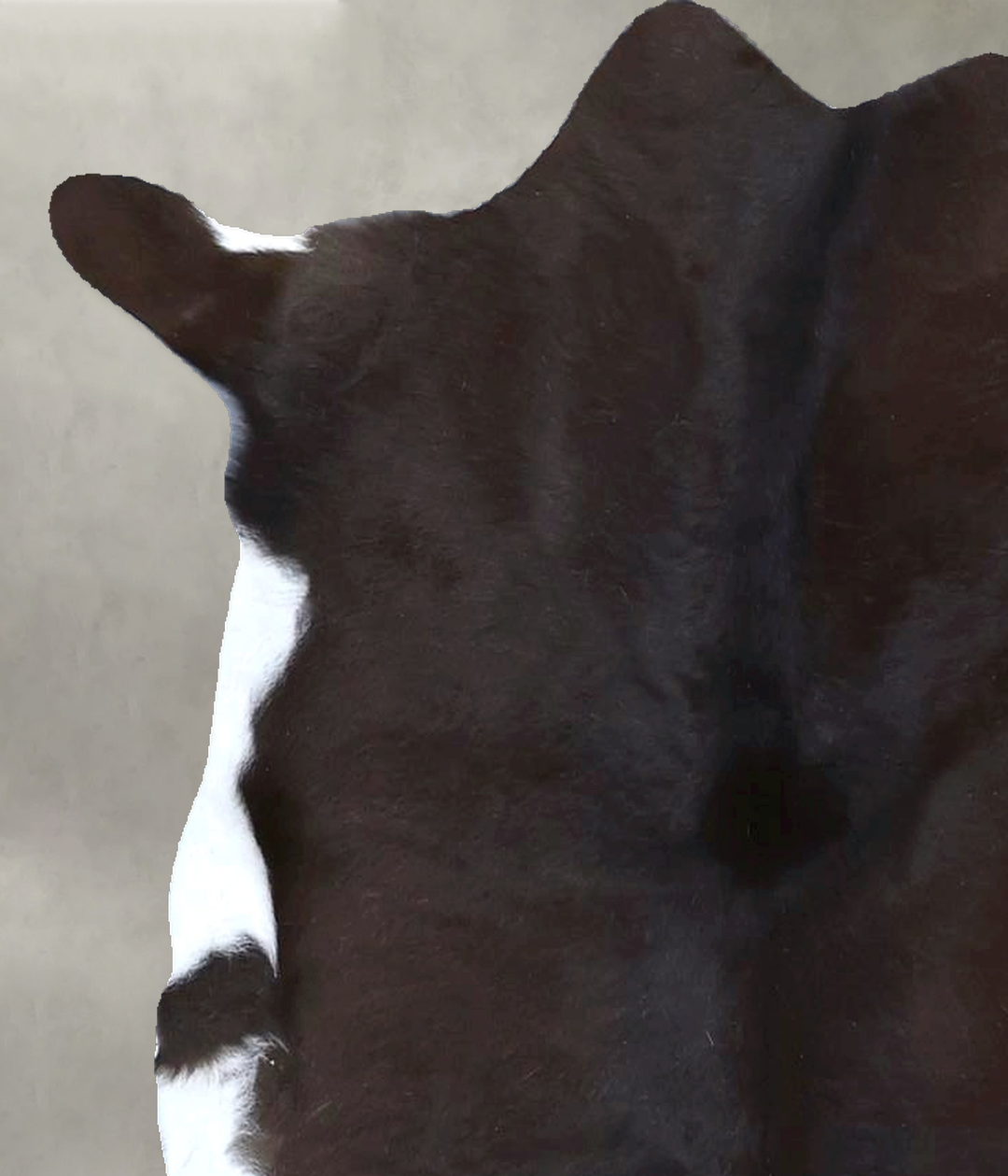 Calfhide Approx 2'x3' #B21404 by Hudson Hides