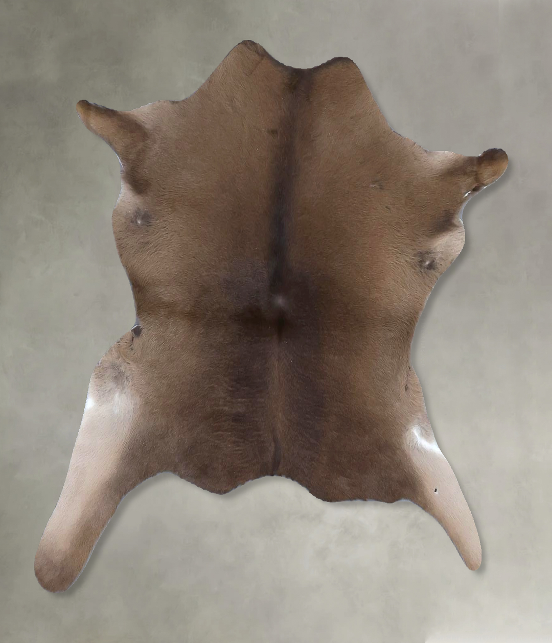 Calfhide Approx 2'x3' #B21405 by Hudson Hides