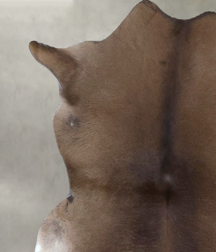 Calfhide Approx 2'x3' #B21405 by Hudson Hides