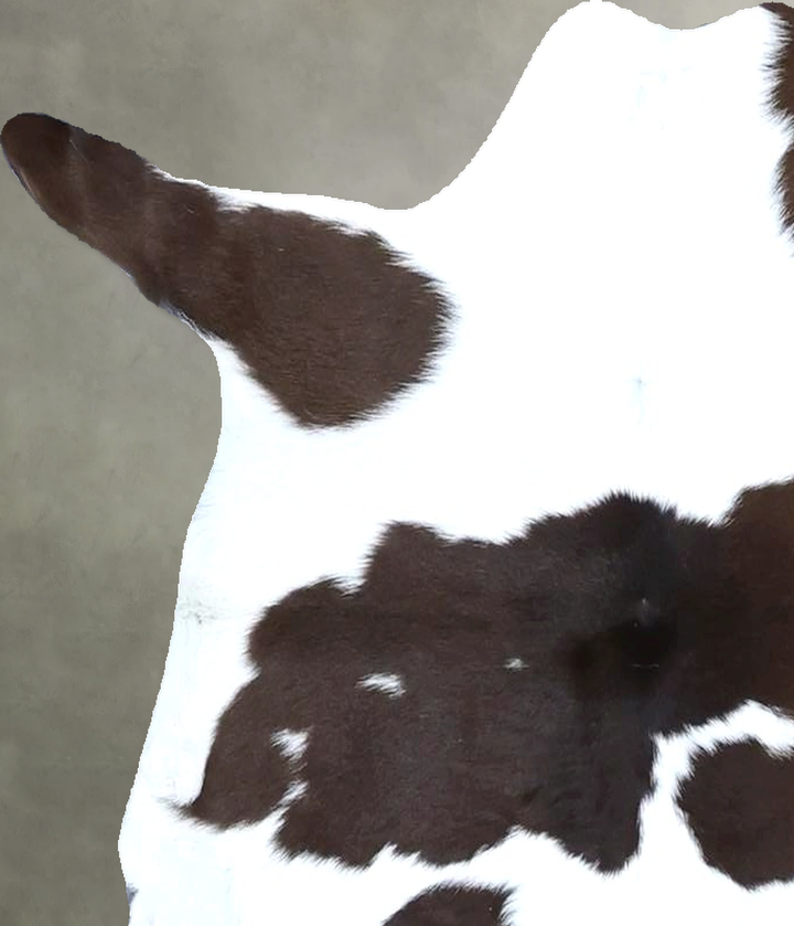 Calfhide Approx 2'x3' #B21408 by Hudson Hides