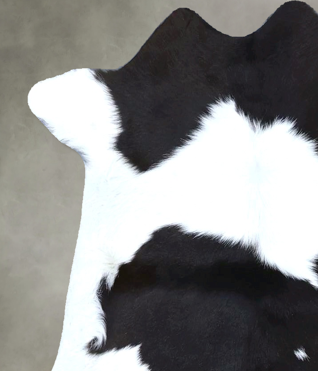 Calfhide Approx 2'x3' #B21410 by Hudson Hides