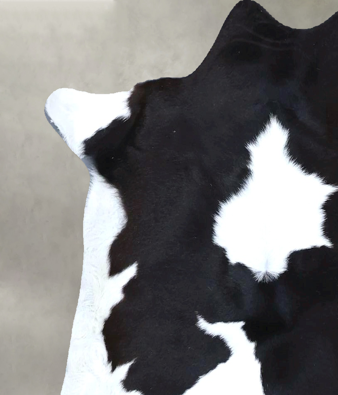 Calfhide Approx 2'x3' #B21417 by Hudson Hides