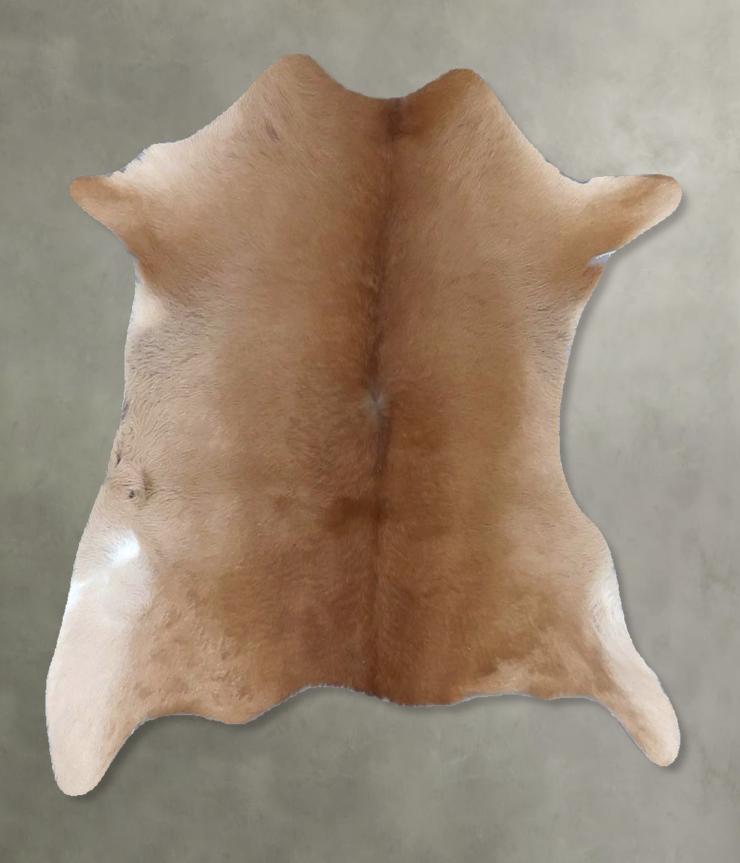 Calfhide Approx 2'x3' #B21418 by Hudson Hides