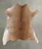 Calfhide Approx 2'x3' #B21418 by Hudson Hides