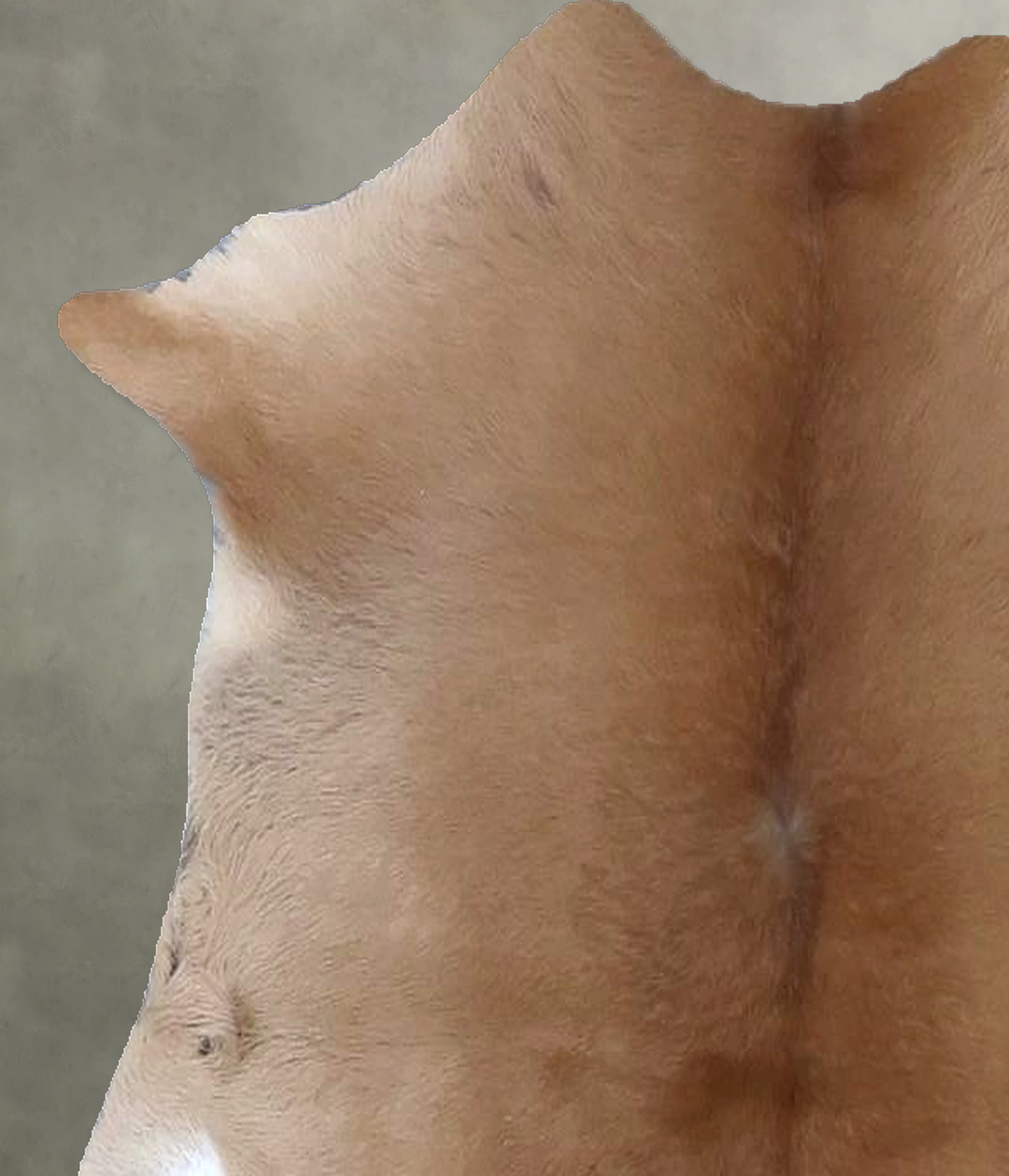 Calfhide Approx 2'x3' #B21418 by Hudson Hides