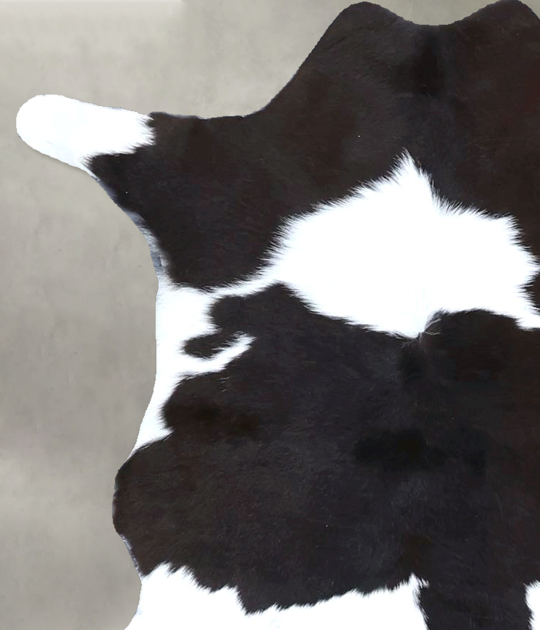 Calfhide Approx 2'x3' #B21420 by Hudson Hides