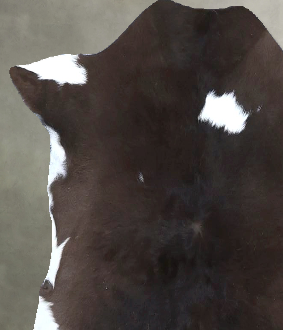 Calfhide Approx 2'x3' #B21421 by Hudson Hides