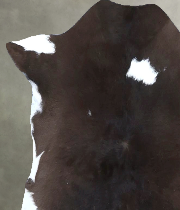 Calfhide Approx 2'x3' #B21421 by Hudson Hides