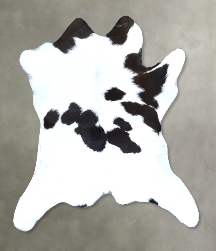 Calfhide Approx 2'x3' #B21422 by Hudson Hides