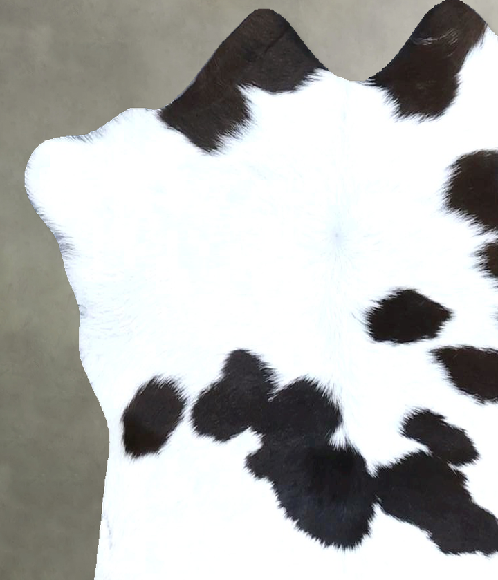 Calfhide Approx 2'x3' #B21422 by Hudson Hides