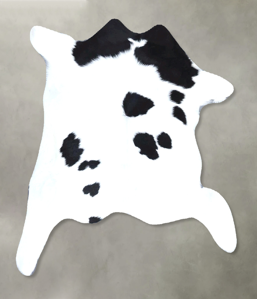 Calfhide Approx 2'x3' #B21427 by Hudson Hides