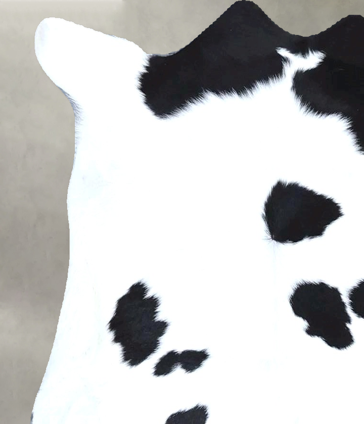 Calfhide Approx 2'x3' #B21427 by Hudson Hides