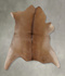 Calfhide Approx 2'x3' #B21429 by Hudson Hides