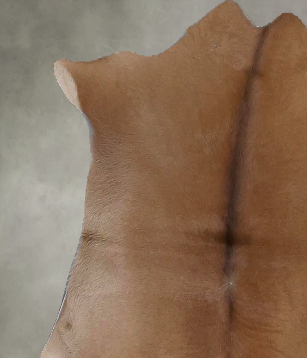 Calfhide Approx 2'x3' #B21429 by Hudson Hides