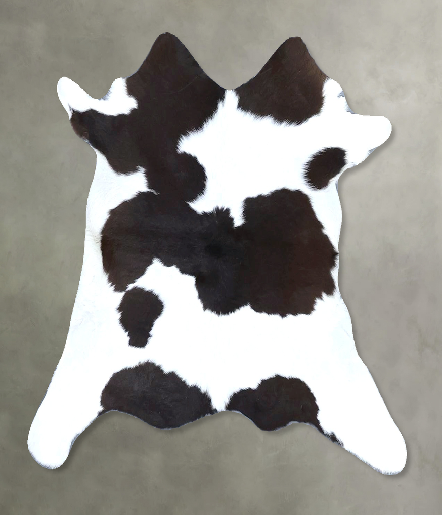 Calfhide Approx 2'x3' #B21430 by Hudson Hides