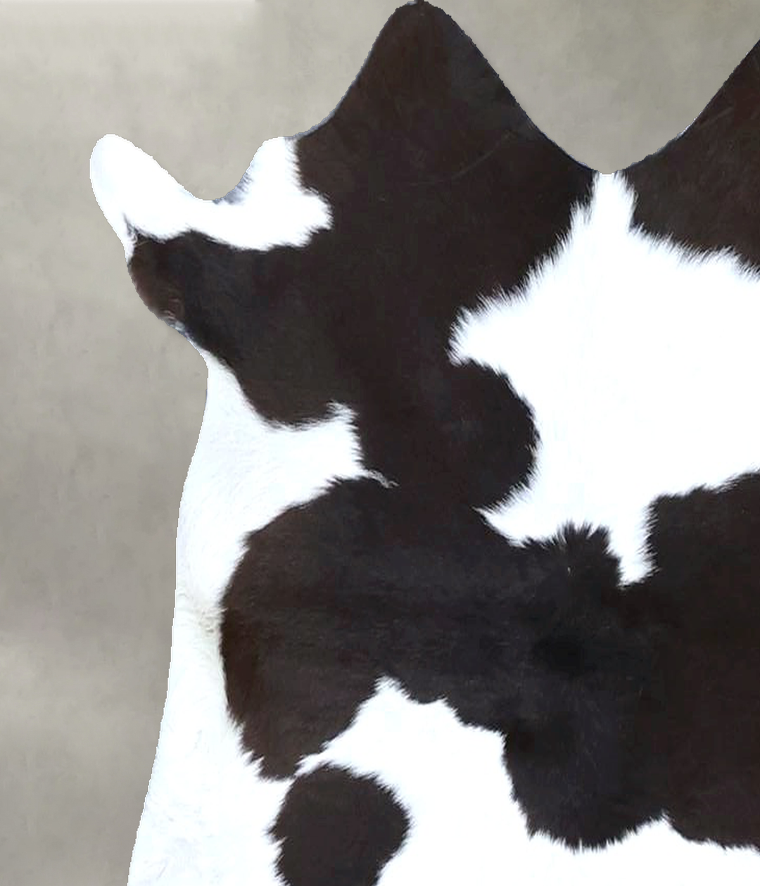 Calfhide Approx 2'x3' #B21430 by Hudson Hides