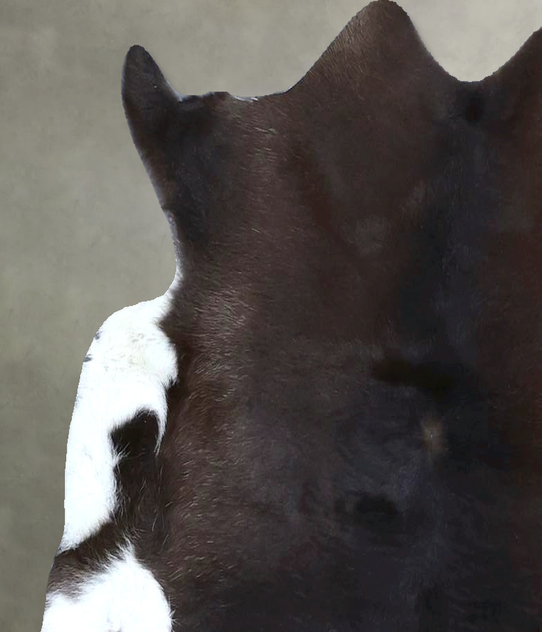 Calfhide Approx 2'x3' #B21432 by Hudson Hides