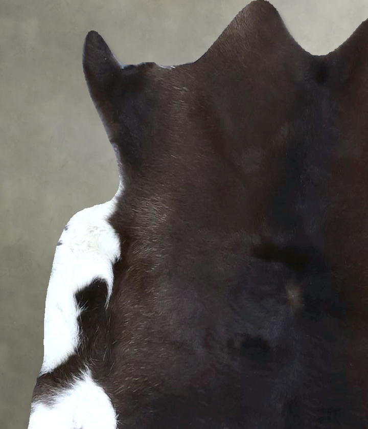 Calfhide Approx 2'x3' #B21432 by Hudson Hides