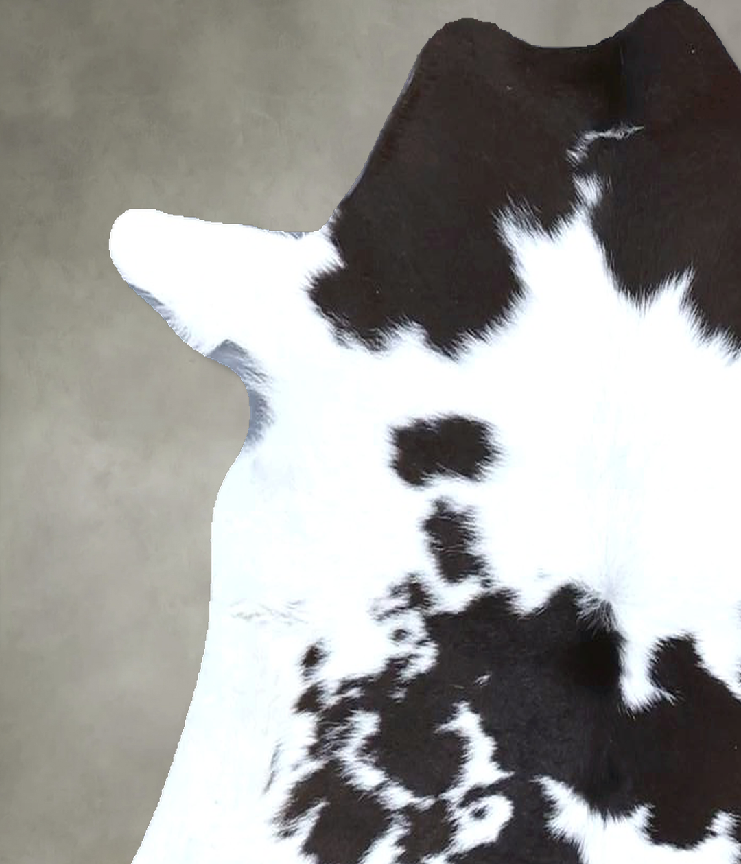 Calfhide Approx 2'x3' #B21433 by Hudson Hides