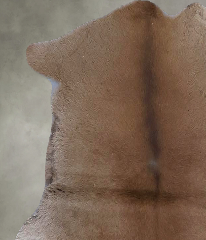 Calfhide Approx 2'x3' #B21434 by Hudson Hides