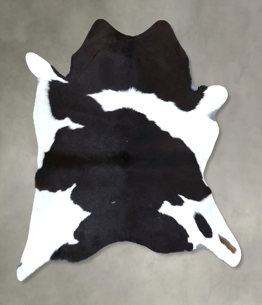 Calfhide Approx 2'x3' #B21436 by Hudson Hides