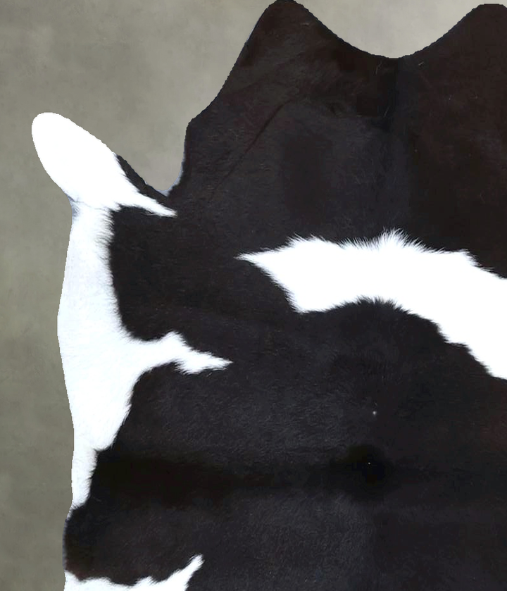 Calfhide Approx 2'x3' #B21436 by Hudson Hides