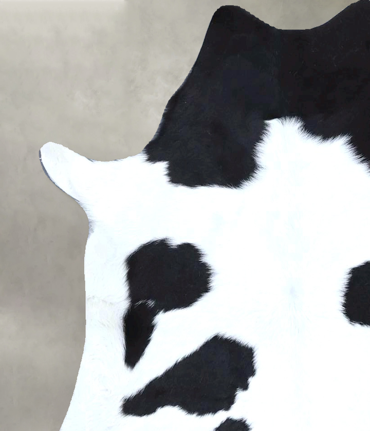 Calfhide Approx 2'x3' #B21442 by Hudson Hides