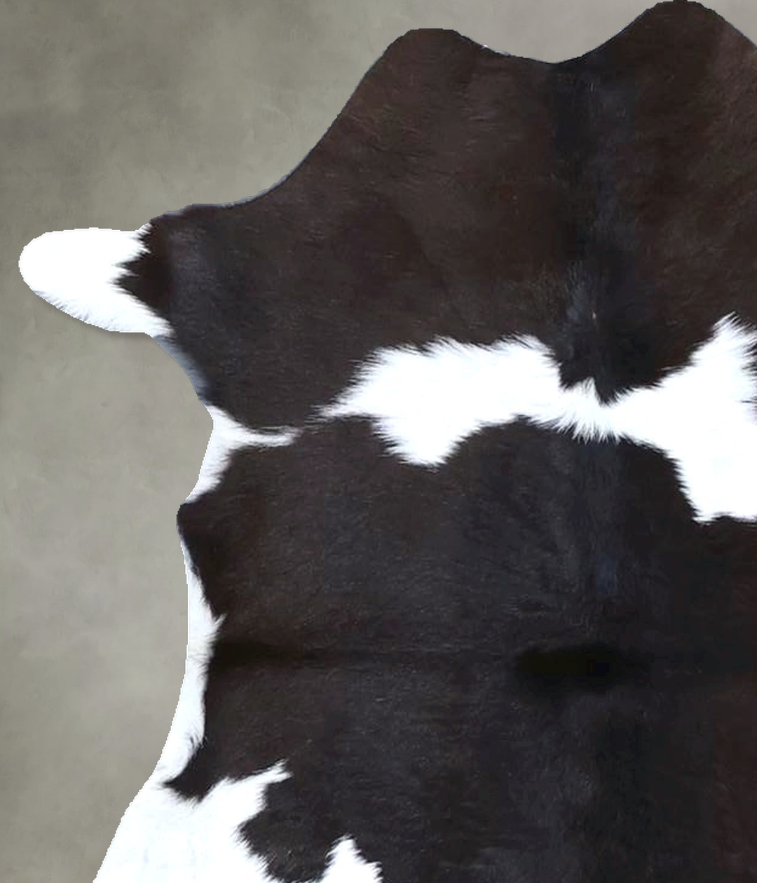 Calfhide Approx 2'x3' #B21443 by Hudson Hides