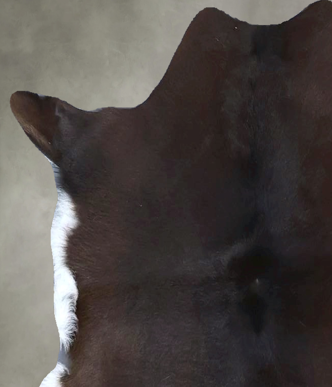 Calfhide Approx 2'x3' #B21446 by Hudson Hides