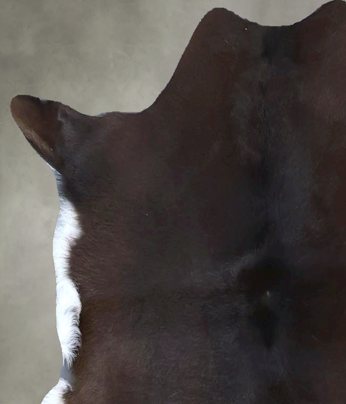 Calfhide Approx 2'x3' #B21446 by Hudson Hides