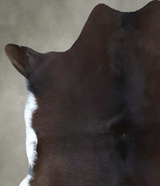 Calfhide Approx 2'x3' #B21446 by Hudson Hides