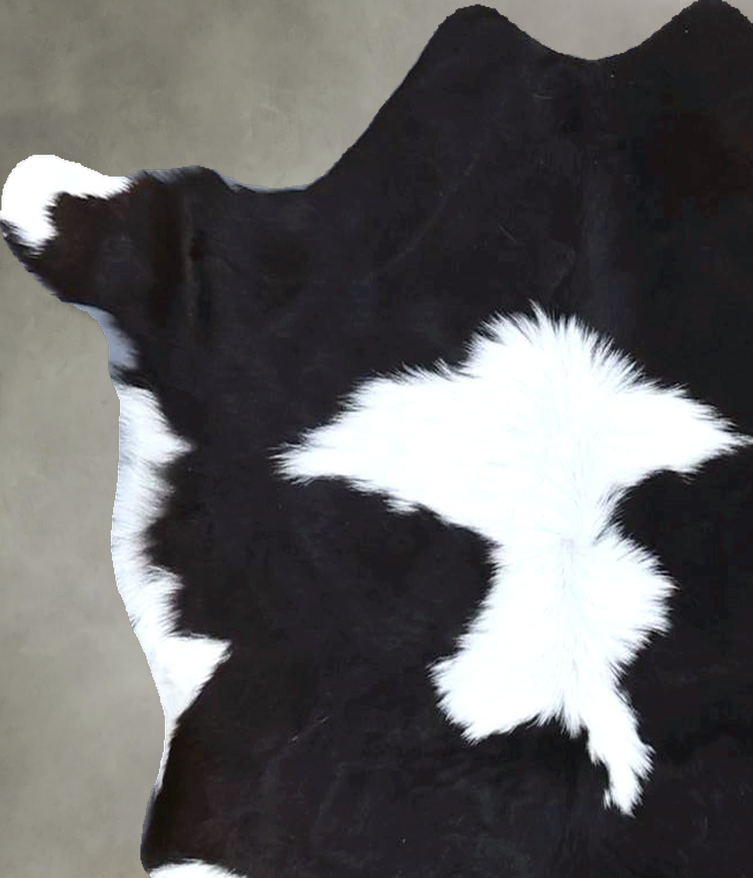 Calfhide Approx 2'x3' #B21447 by Hudson Hides