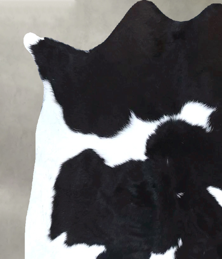 Calfhide Approx 2'x3' #B21459 by Hudson Hides