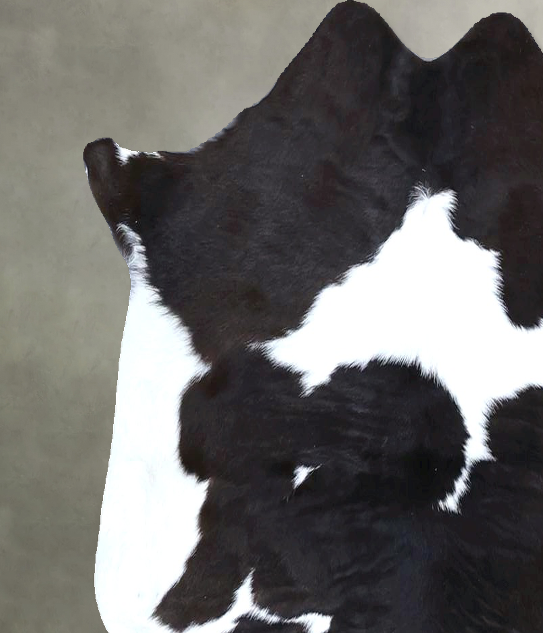 Calfhide Approx 2'x3' #B21469 by Hudson Hides