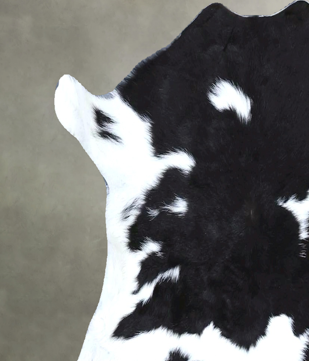 Calfhide Approx 2'x3' #B21472 by Hudson Hides