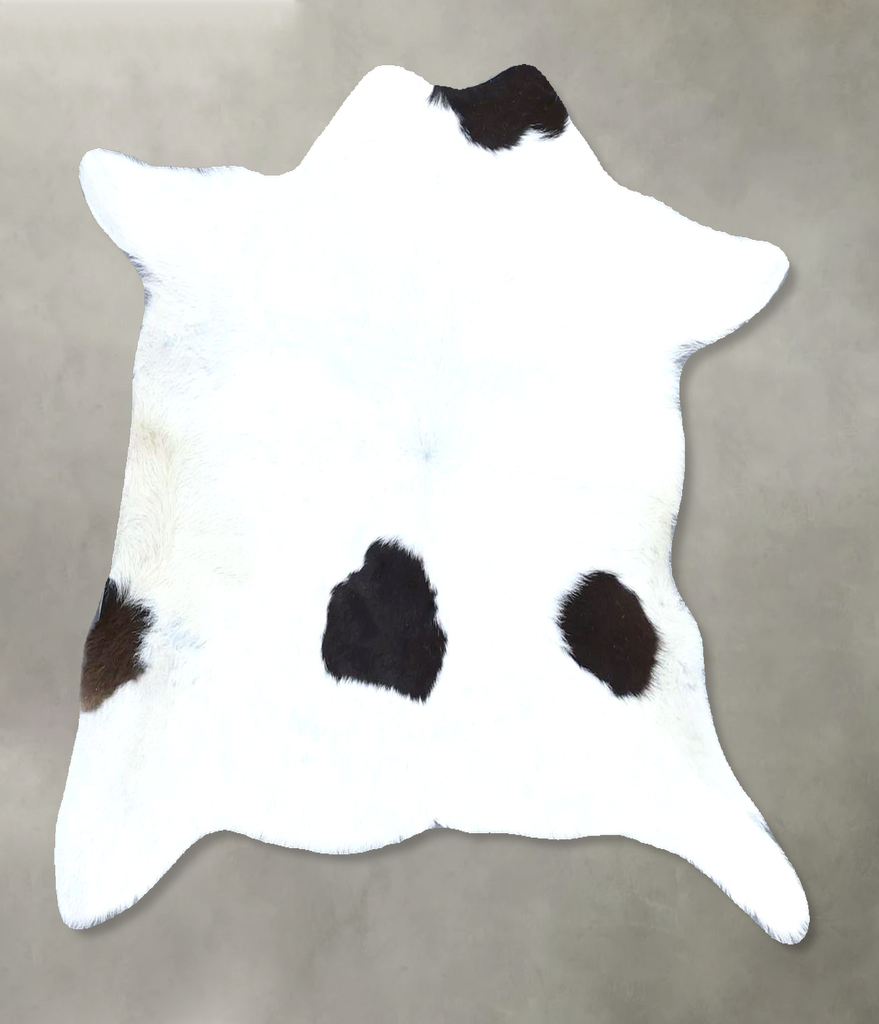 Calfhide Approx 2'x3' #B21473 by Hudson Hides